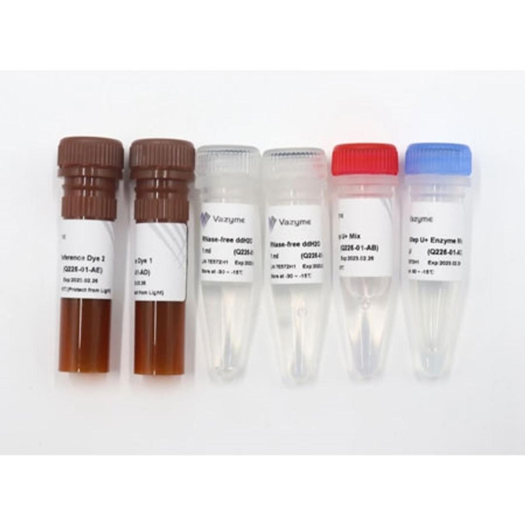 HiScript III U+ One Step qRT-PCR Probe Kit - Vazyme Biotech Co., Ltd - Life Sciences