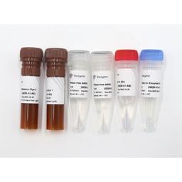 HiScript III U+ One Step qRT-PCR Probe Kit - Vazyme Biotech Co., Ltd - Life Sciences