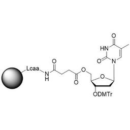 Inverse dT CNA CPG - LGC Biosearch Technologies - Life Sciences