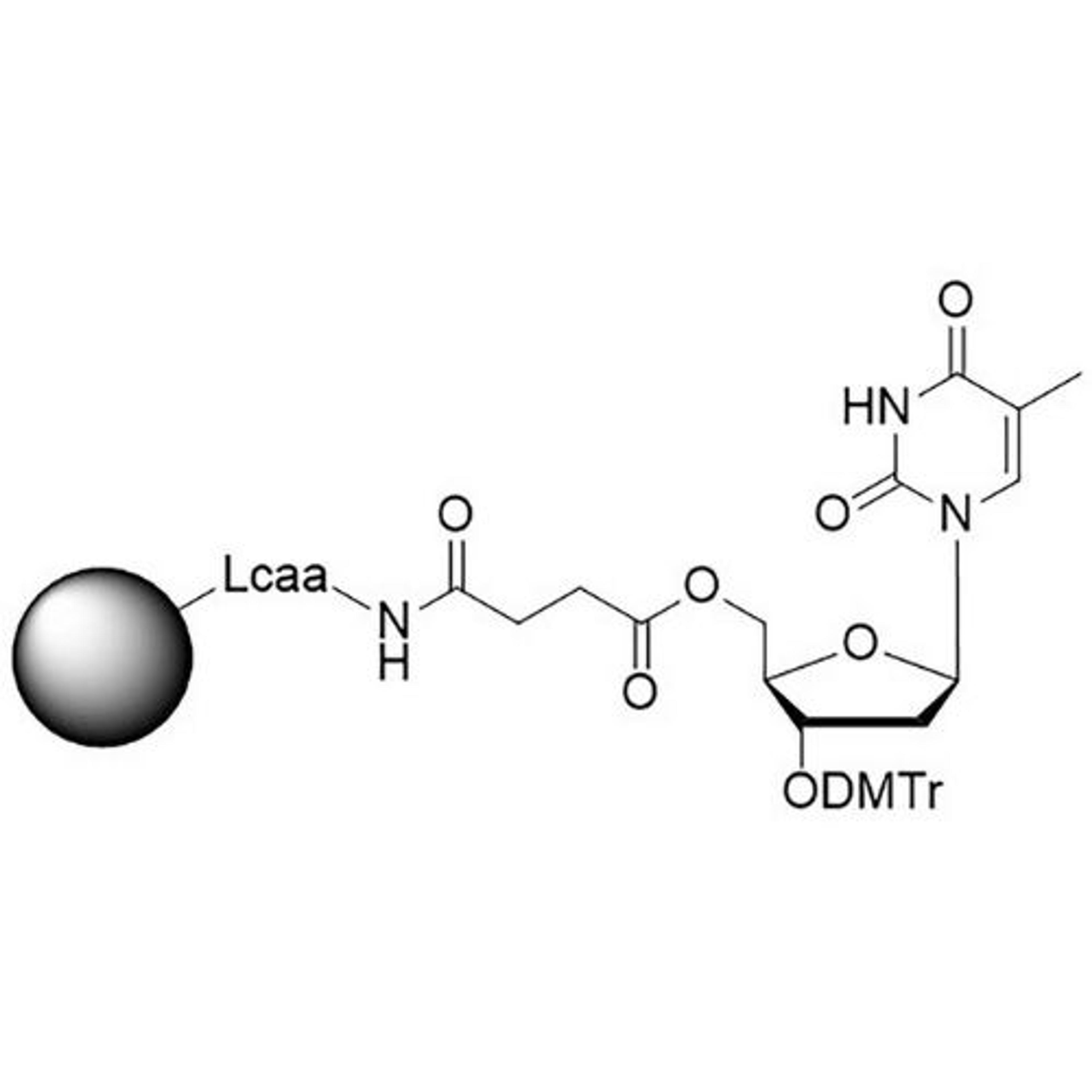 Inverse dT CNA CPG - LGC Biosearch Technologies - Life Sciences