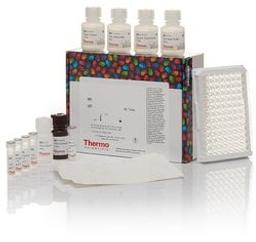 Invitrogen™ Periostin Human ELISA Kit - Thermo Fisher Scientific - Life Sciences