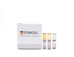 EasySep™ Rat Custom Enrichment Kit - STEMCELL Technologies Inc. - Life Sciences