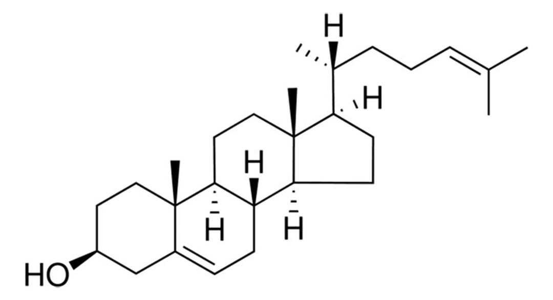 Avanti® Polar Lipids desmosterol - Merck KGaA, Darmstadt, Germany - Drug discovery > Drug Manufacturing