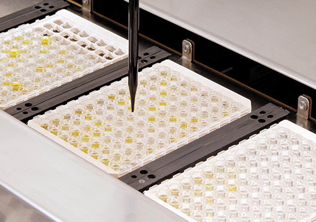 Serological Assays for Infectious Diseases - Euroimmun - Clinical Diagnostics