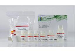 CELLDATA RNAstorm™ 2.0 FFPE RNA Extraction Kit - Biotium - Life Sciences