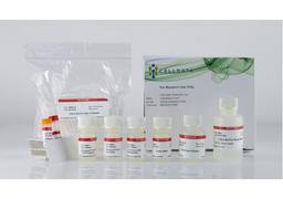 CELLDATA RNAstorm™ 2.0 FFPE RNA Extraction Kit - Biotium - Life Sciences