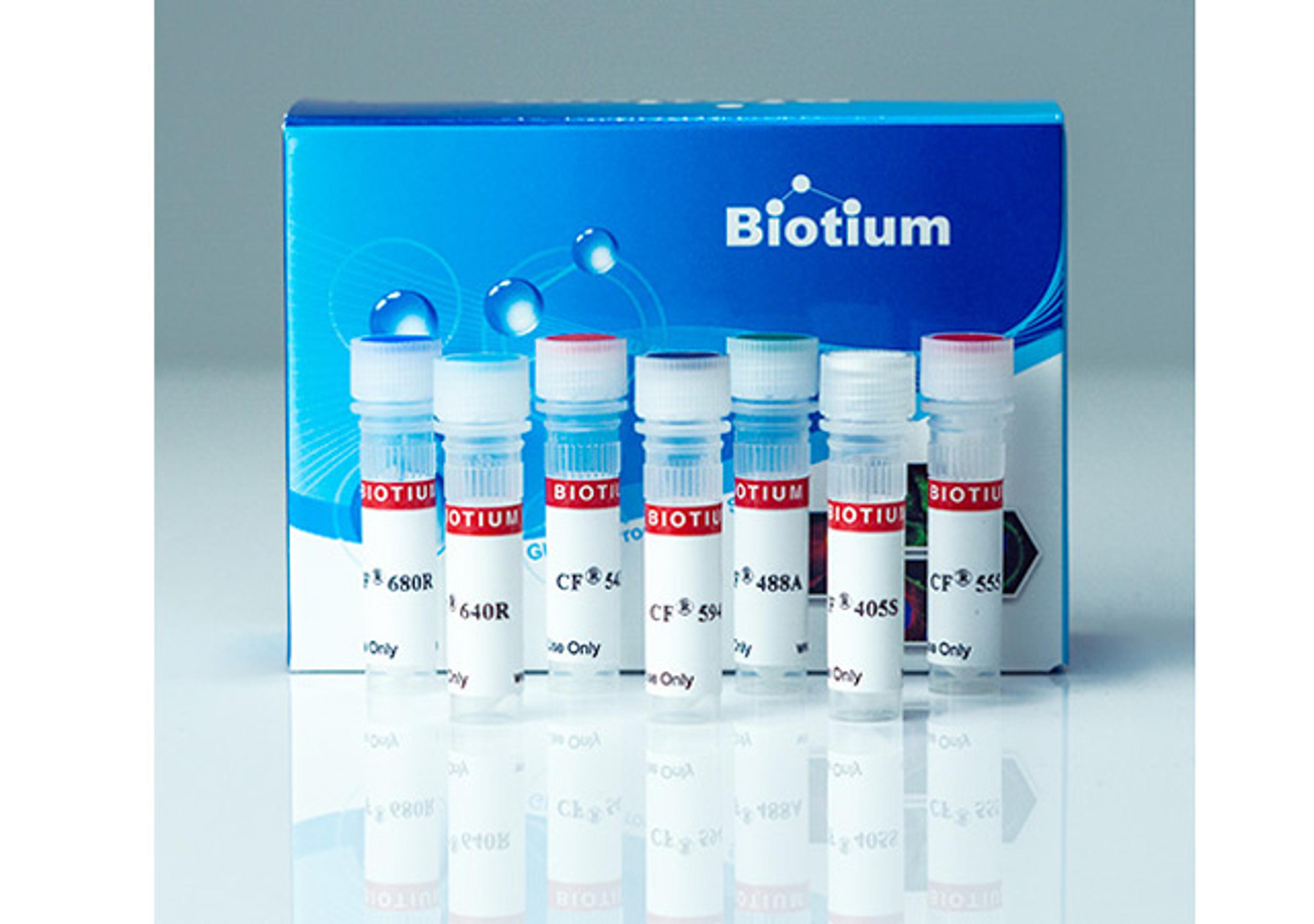 Annexin V CF® Dye Conjugates, Azide-Free, Lyophilized - Biotium - Life Sciences
