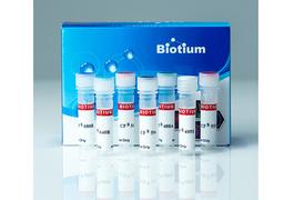 Annexin V CF® Dye Conjugates, Azide-Free, Lyophilized - Biotium - Life Sciences