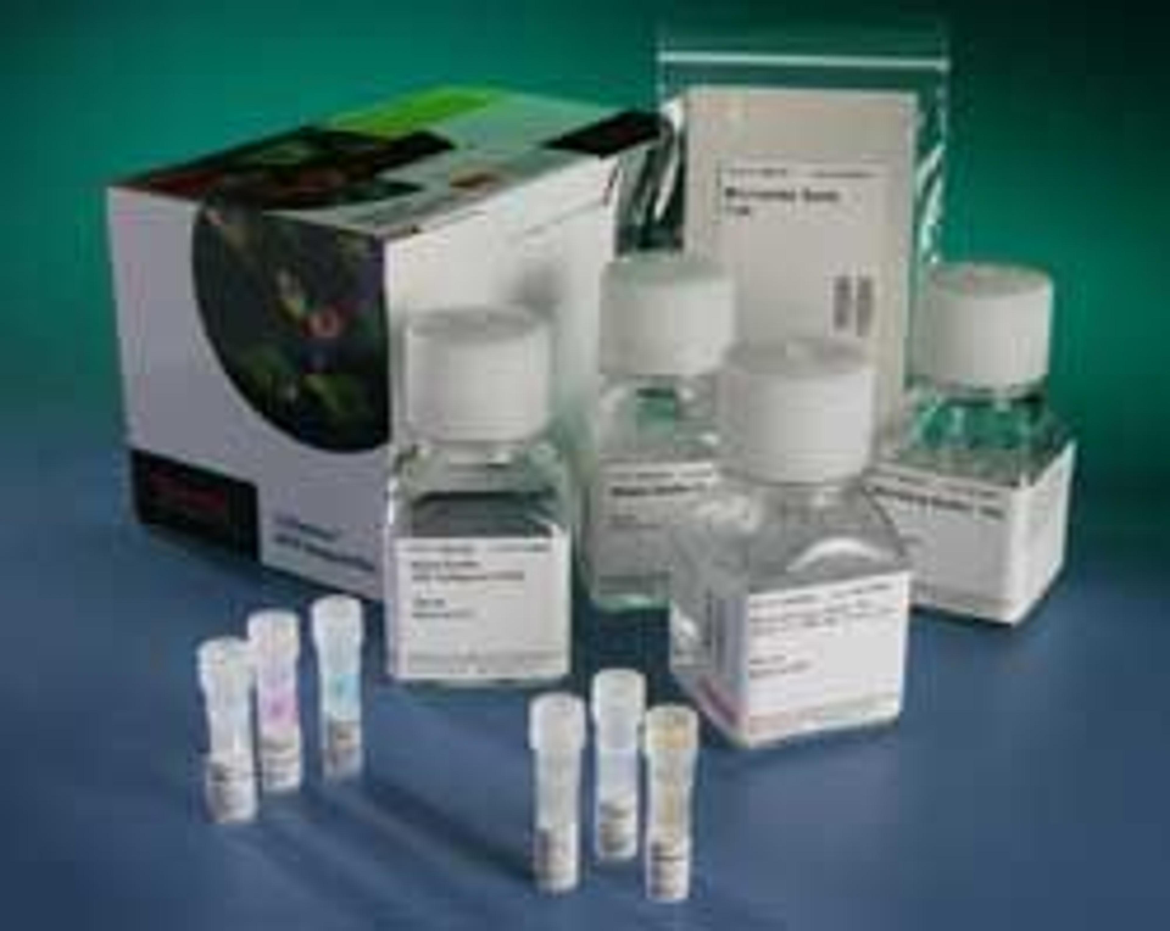 Thermo Scientific Synaptogenesis Kit - null - Drug discovery > Target Discovery