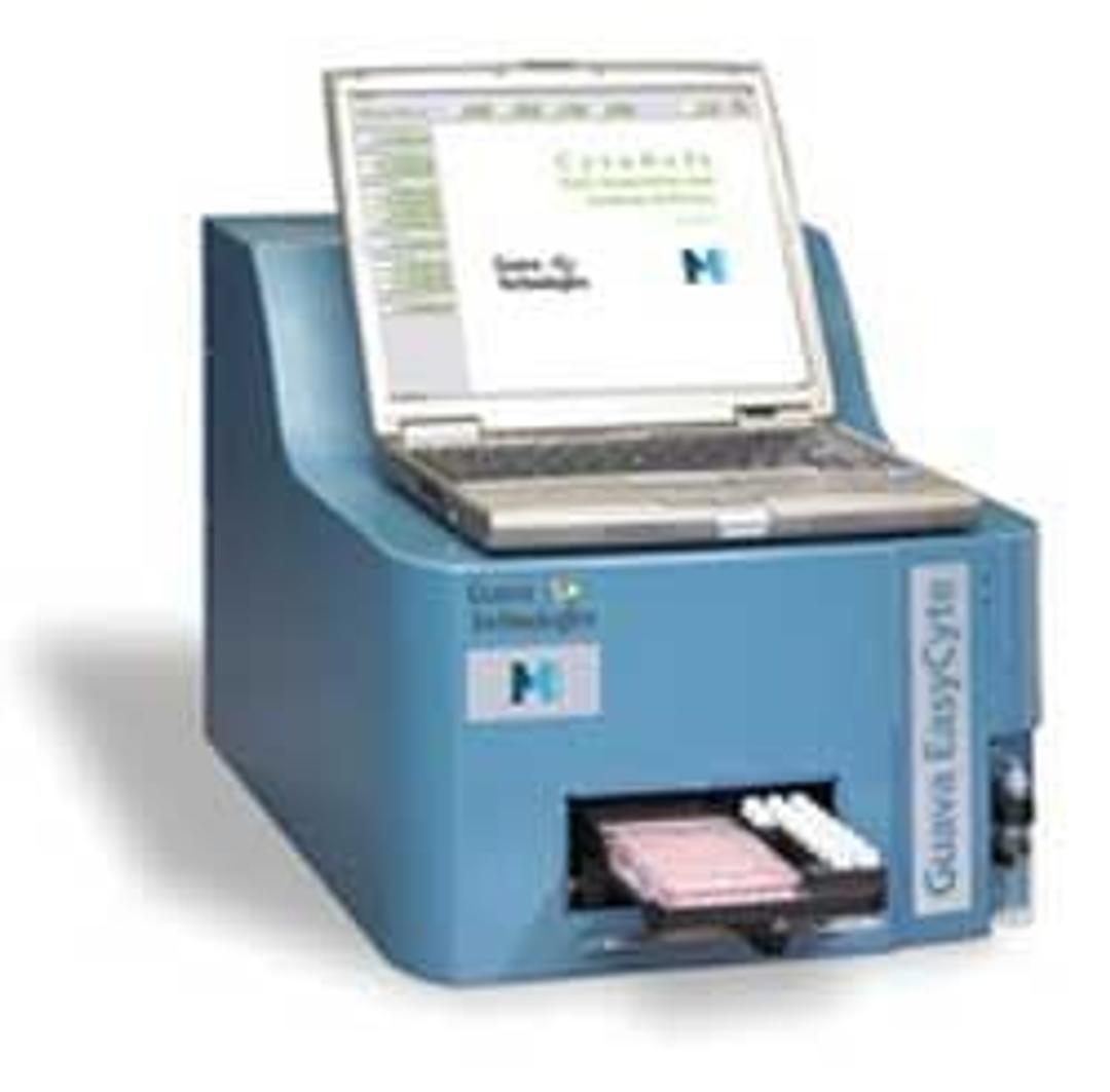 FlowCellect™ Rodent Neural Stem Cell Characterization Kit-Neural Differentiation - Merck - Life Sciences