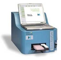 FlowCellect™ Rodent Neural Stem Cell Characterization Kit-Neural Differentiation - Merck - Life Sciences