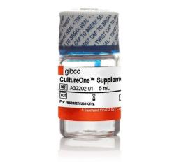 Gibco™ CultureOne Supplement - Thermo Fisher Scientific