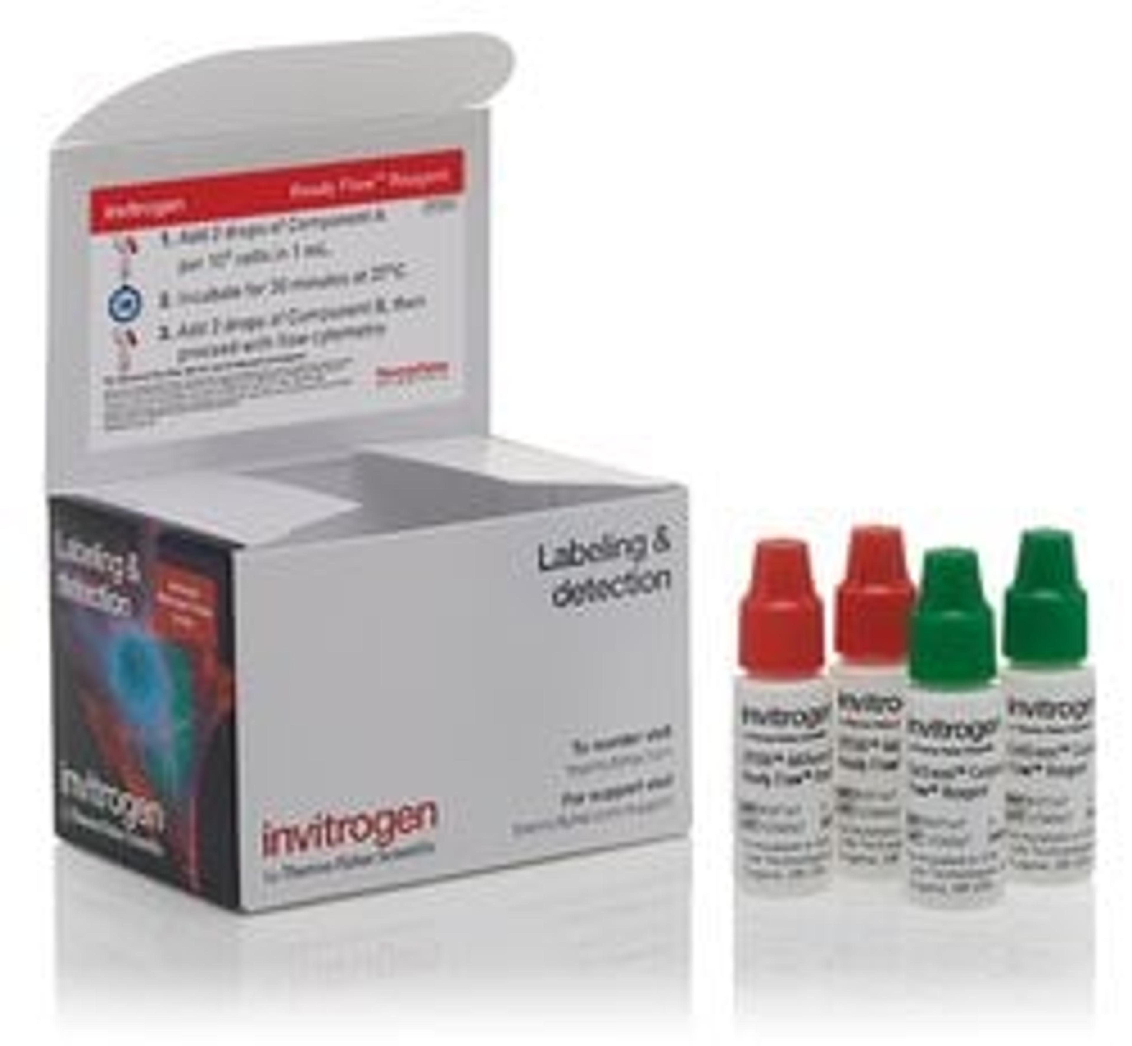 Invitrogen™ CellEvent™ Caspase 3/7 Green Ready Flow™ Reagent - Thermo Fisher Scientific - Life Sciences