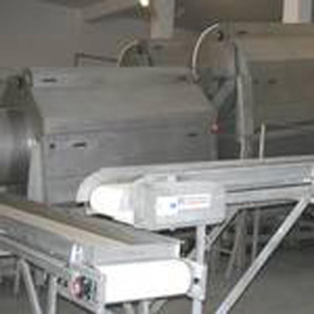 Bean snipper - Cabinplant - Food and Beverage