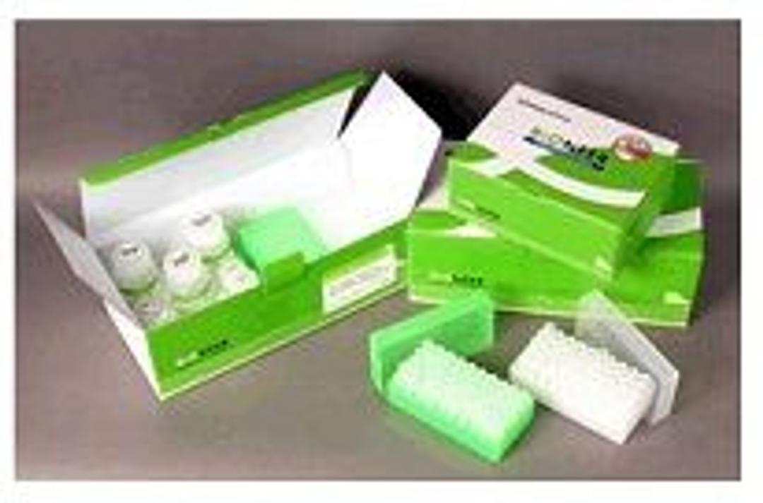 AccuPrep® Plasmid Mini Extraction Kit - Bioneer - Life Sciences