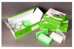 AccuPrep® Plasmid Mini Extraction Kit - Bioneer - Life Sciences