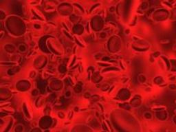 Predictive Toxicology Package - Gentronix Ltd. - Drug discovery > Pre-Clinical Development