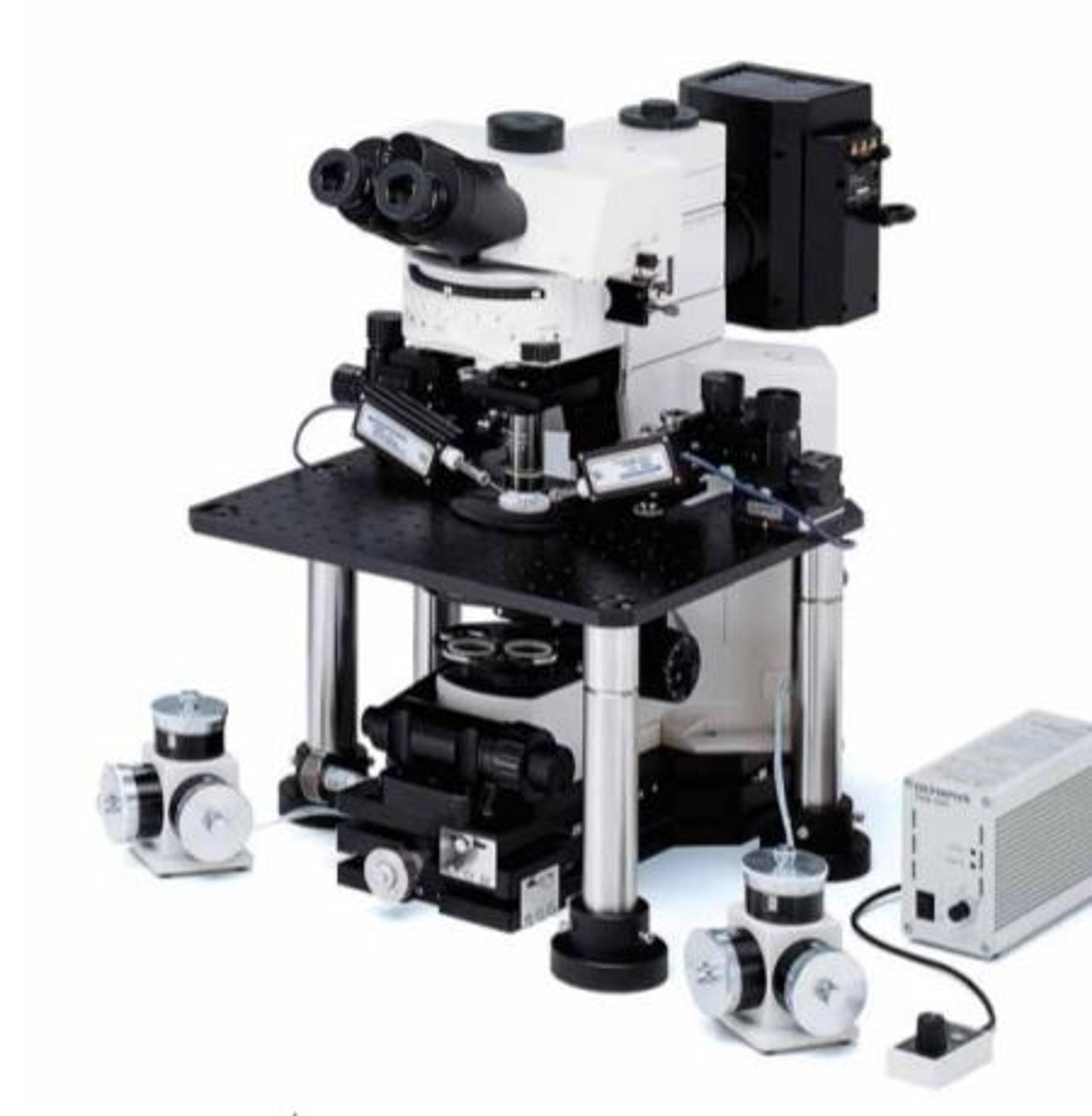 BX51WI Fixed Stage Microscope - EVIDENT - Spectroscopy