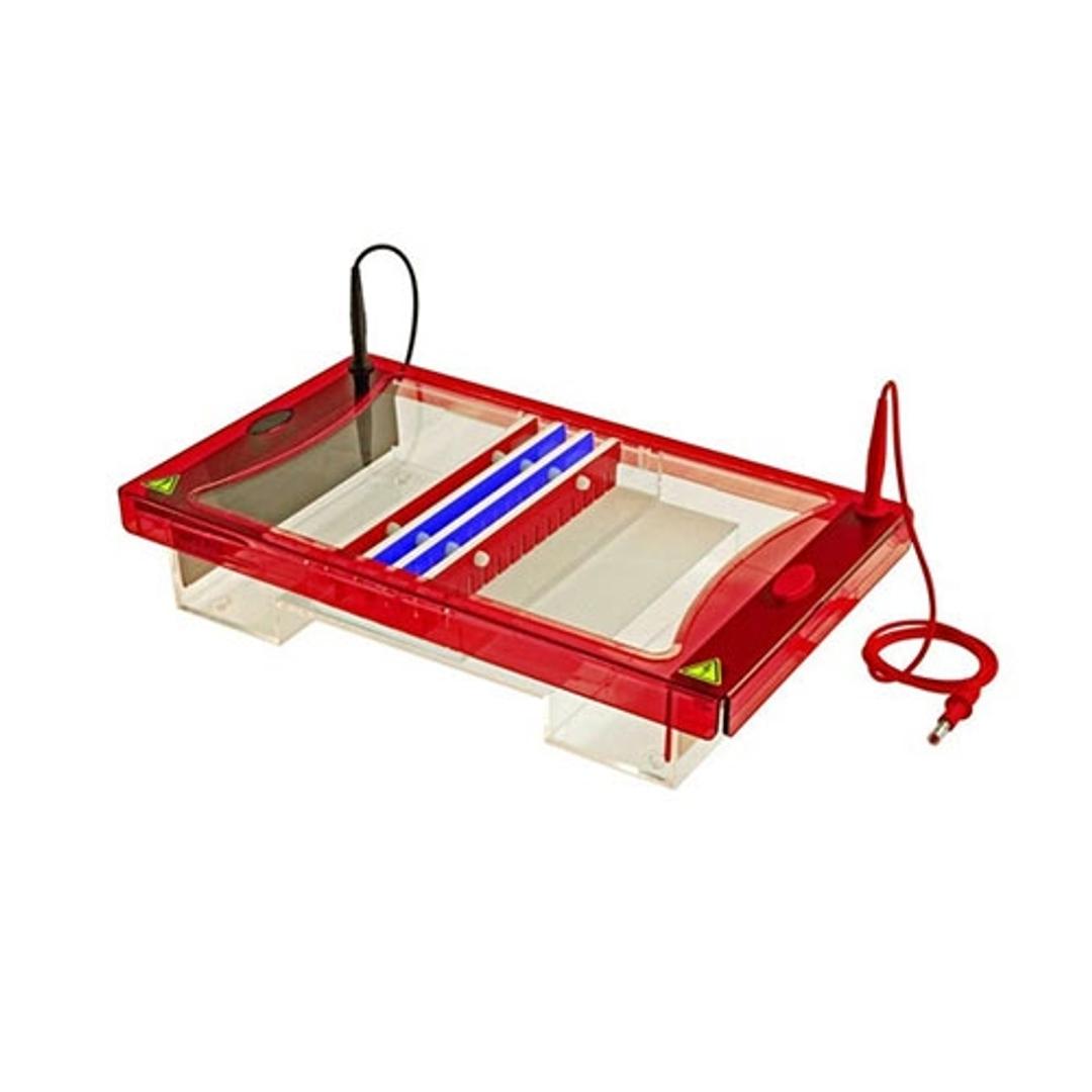 SynMaxi - Syngene - Life Sciences