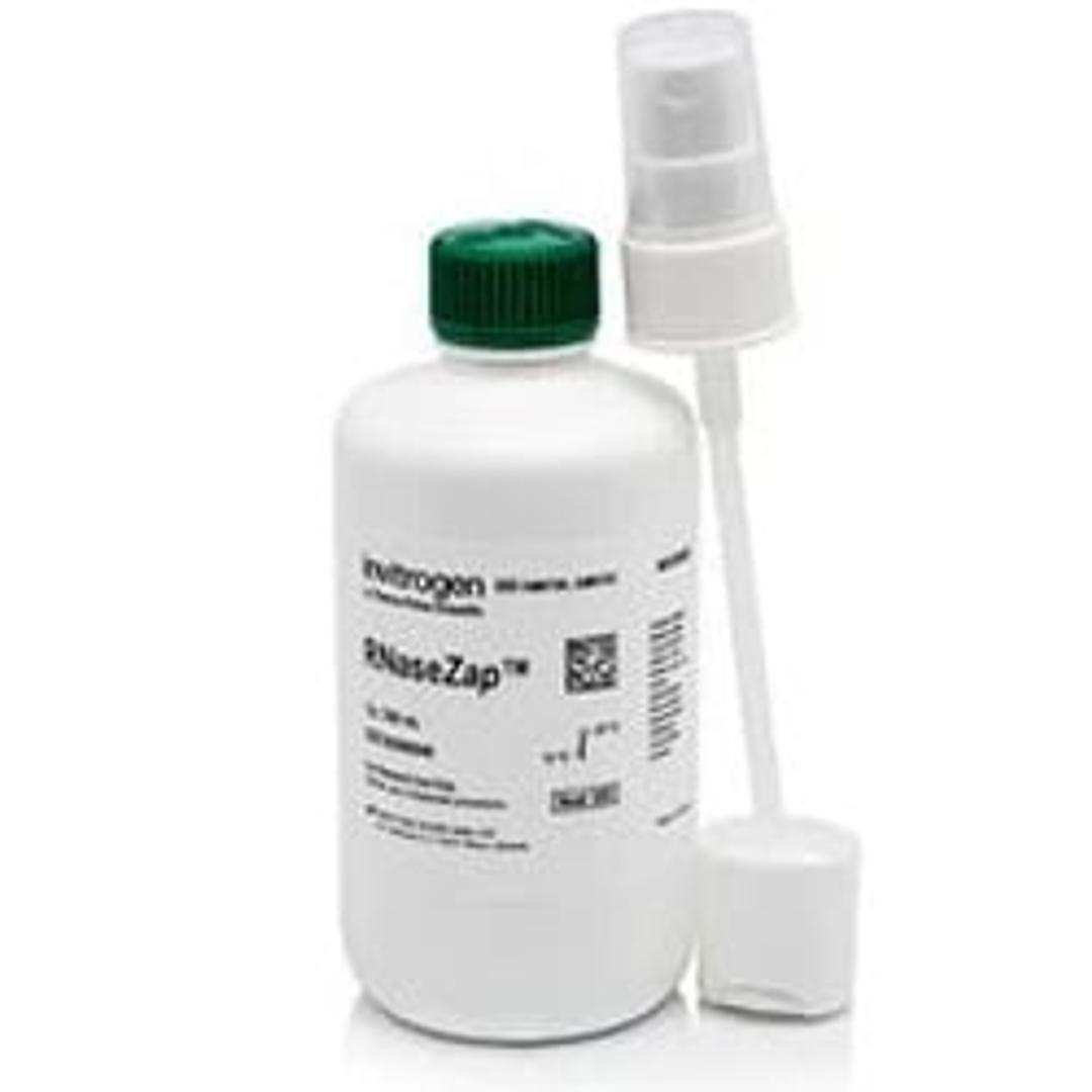 RNaseZap™ RNase Decontamination Solution - Thermo Fisher Scientific - Life Sciences
