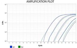 COVID-19 1-Step High Throughput PCR Kit - RayBiotech Inc. - Life Sciences