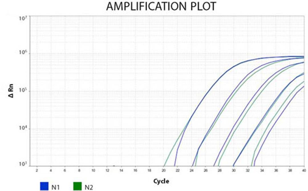 COVID-19 1-Step High Throughput PCR Kit - RayBiotech Inc. - Life Sciences