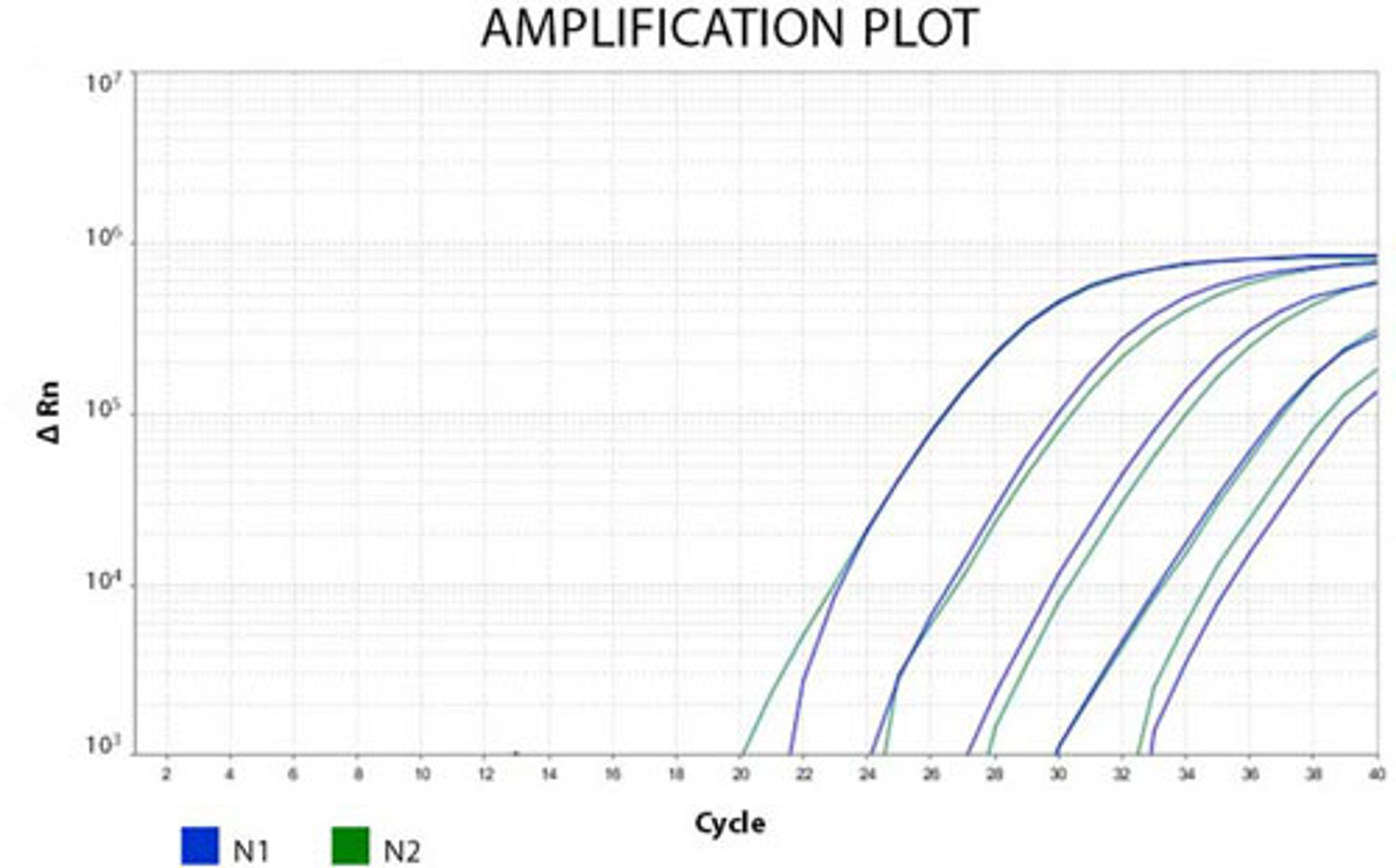COVID-19 1-Step High Throughput PCR Kit - RayBiotech Inc. - Life Sciences