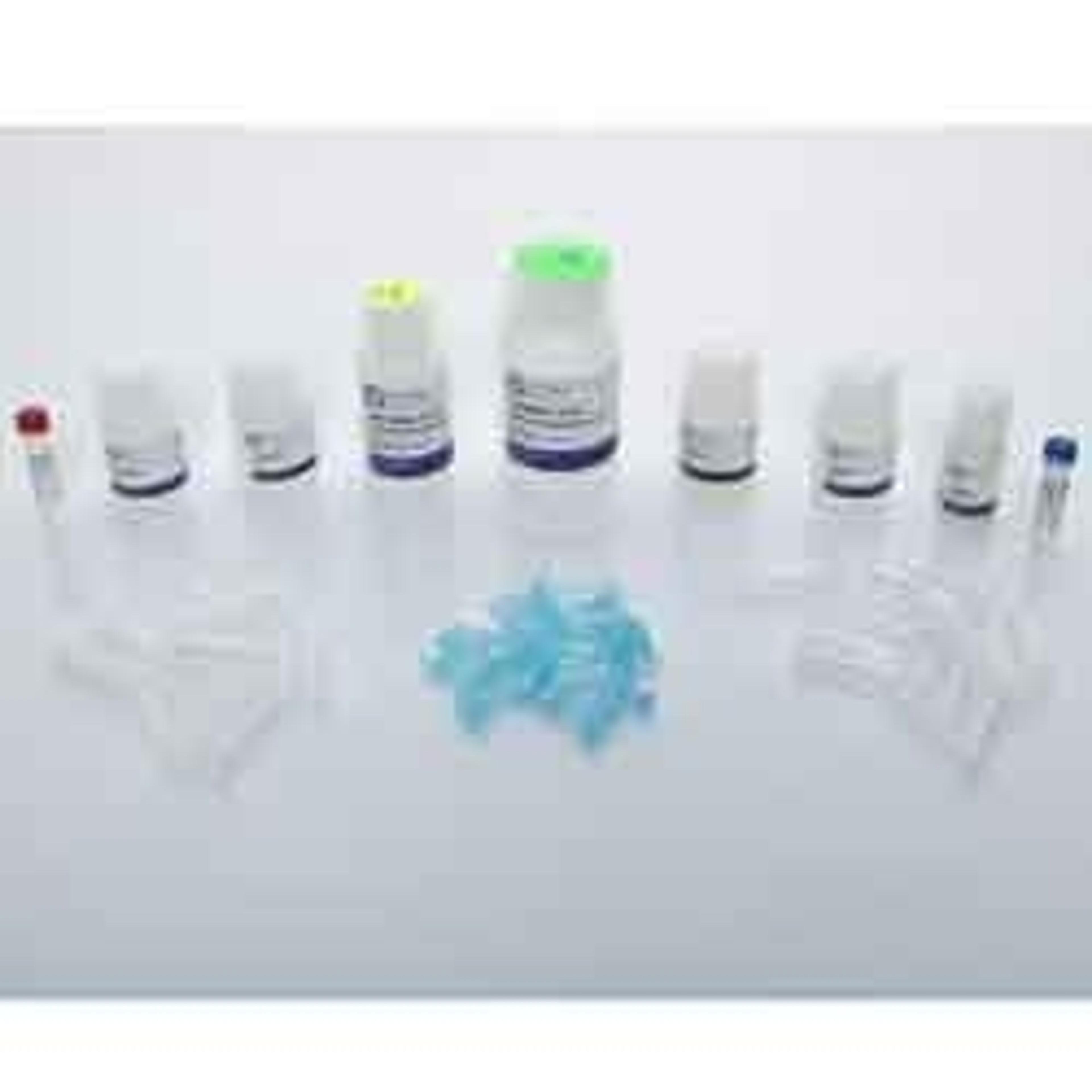 Bead Mill Yeast DNA Kit - OMNI International Inc. - Life Sciences