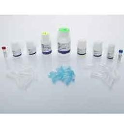 Bead Mill Yeast DNA Kit - OMNI International Inc. - Life Sciences