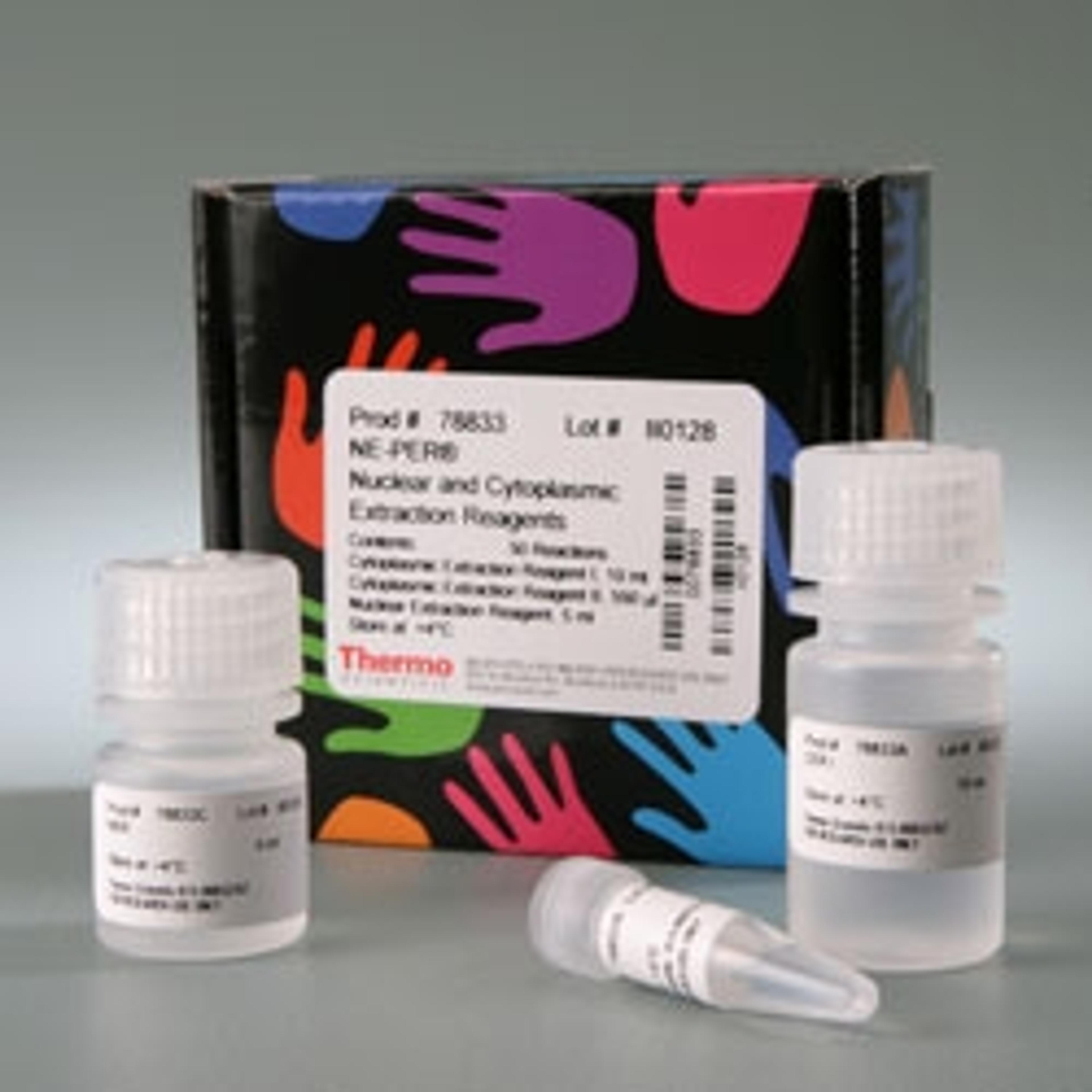 Thermo Scientific NE-PER Nuclear and Cytoplasmic Extraction Kit - Thermo Fisher Scientific - Life Sciences