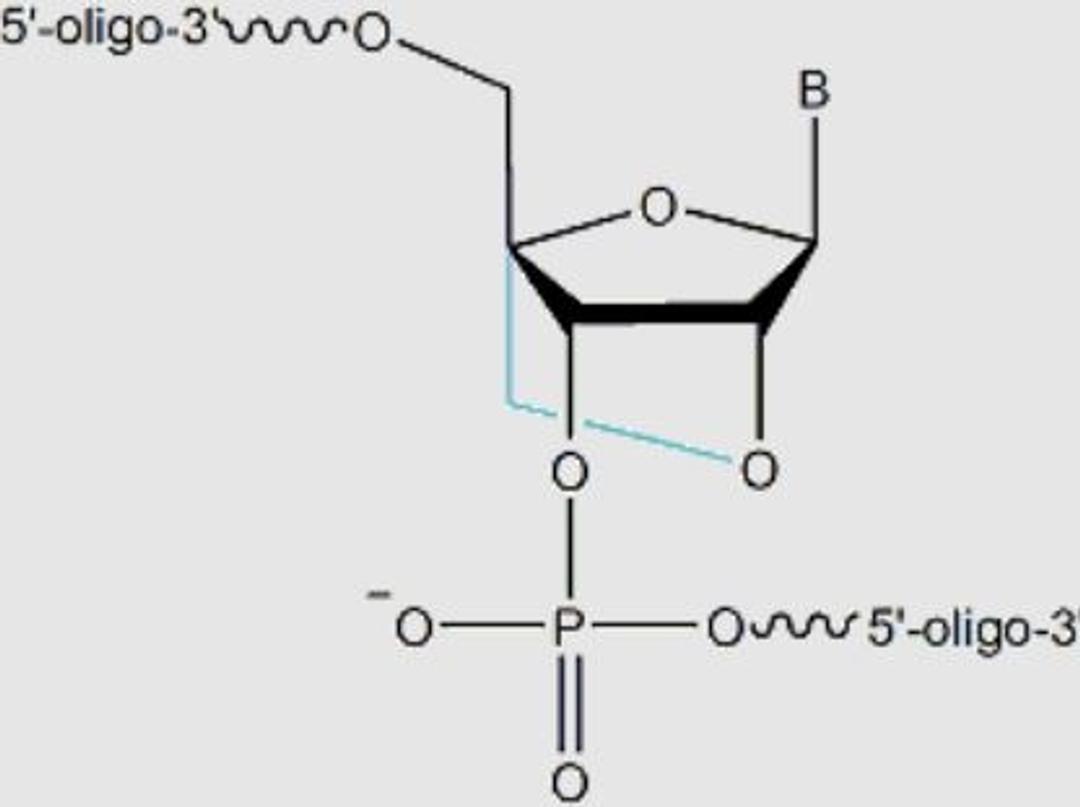 Locked Nucleic Acid probes - LGC Biosearch Technologies - Life Sciences