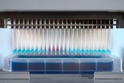 MCA 384 Disposable Tips - Tecan - General Lab