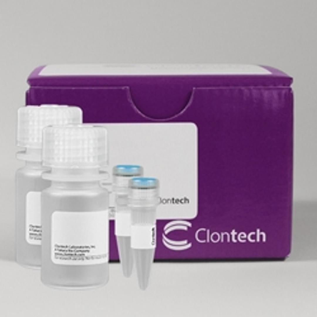 Xfect™ Transfection Reagent - Takara Bio