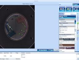 Chromogenic ID - Synbiosis - Life Sciences