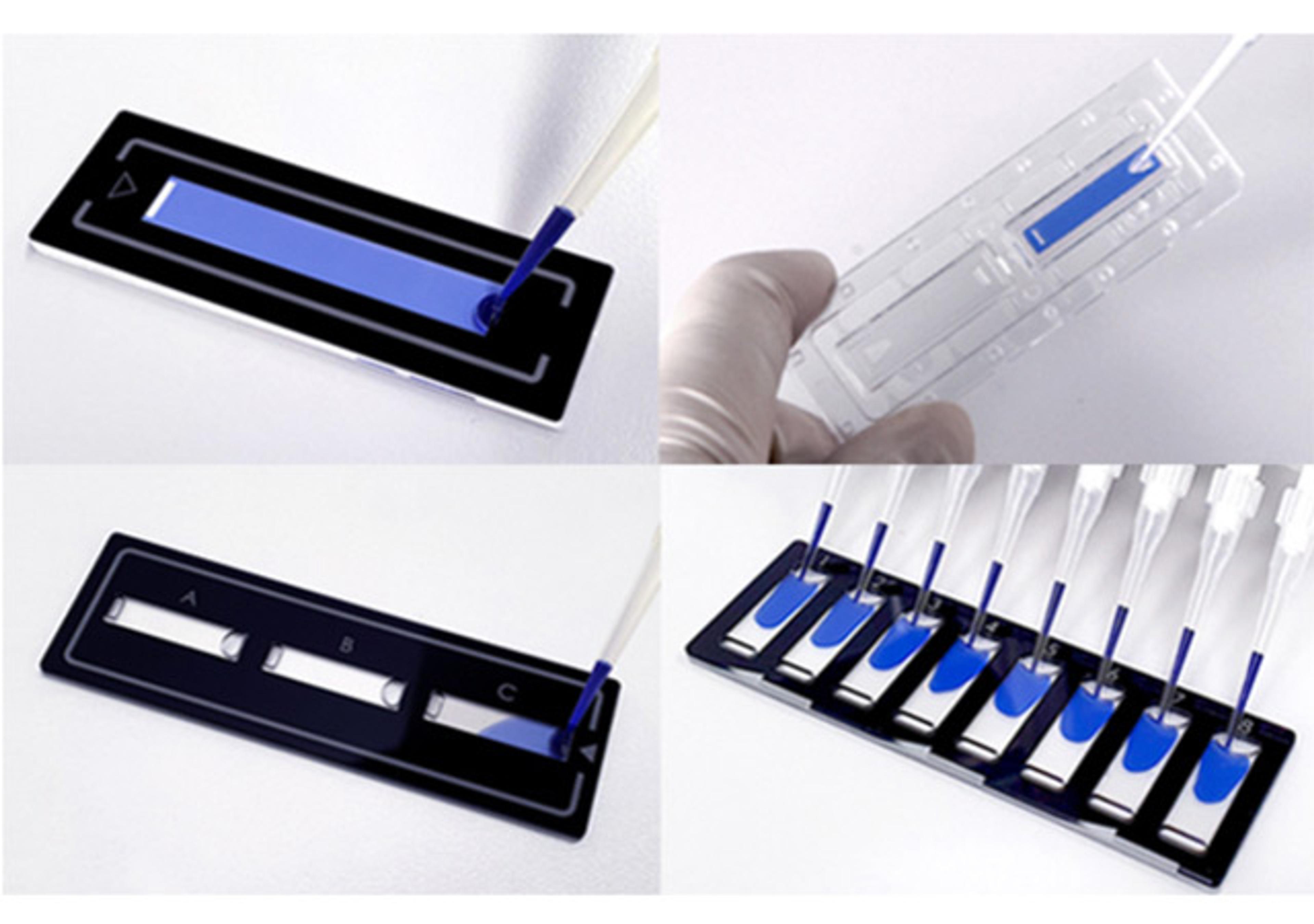 LUNA™ 1-Chamber, 3-Chamber and 8-Chamber Disposable Slides - Logos Biosystems - Life Sciences