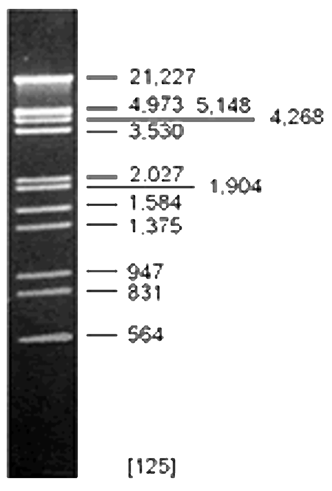 DNA Digest Markers - Thermo Fisher Scientific - Life Sciences