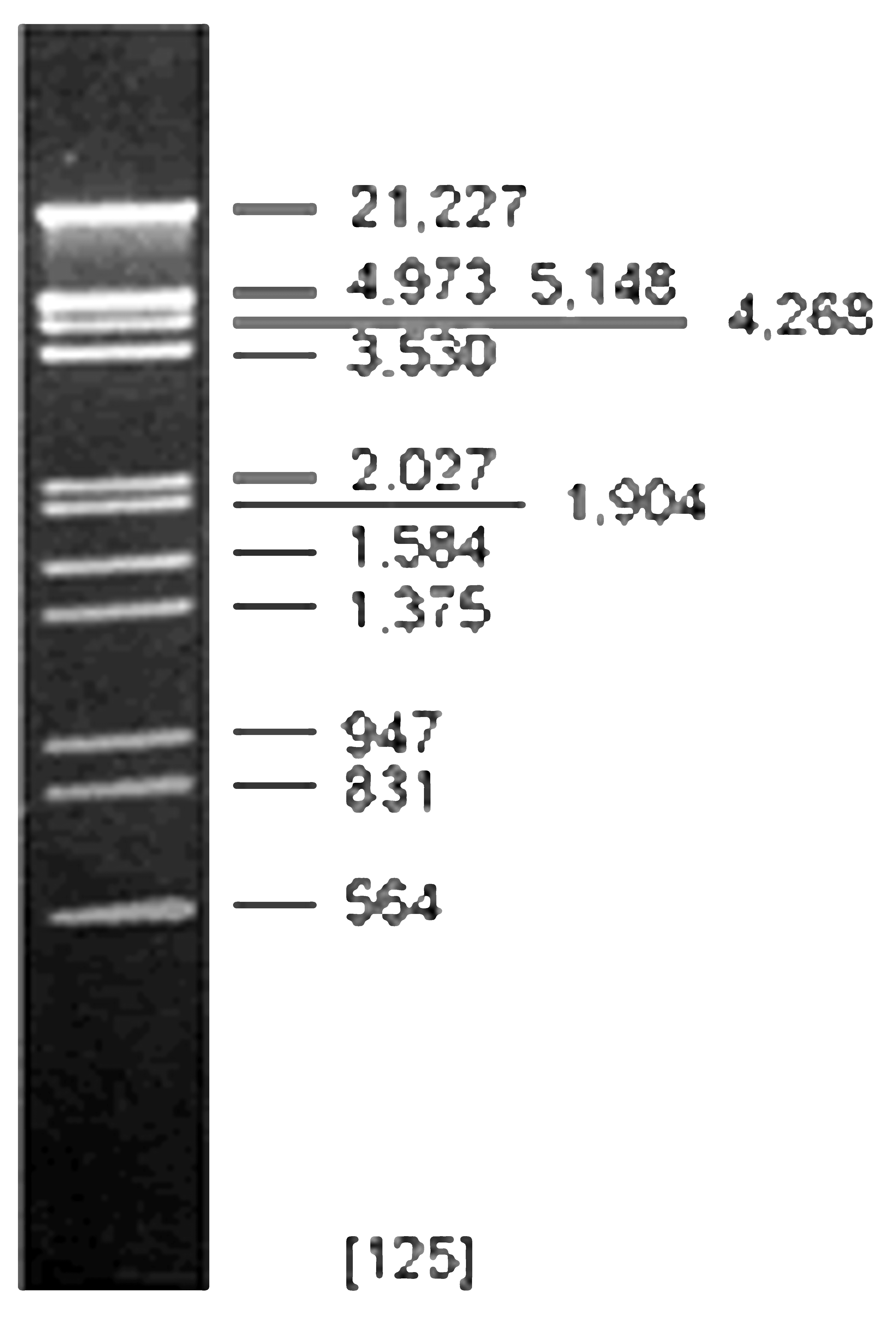 DNA Digest Markers - Thermo Fisher Scientific - Life Sciences