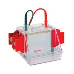 SE250 Mighty Small Mini Vertical Unit - Hoefer Inc. Europe - Life Sciences