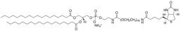 Avanti® Polar Lipids DSPE-PEG(2000) Biotin - Merck KGaA, Darmstadt, Germany - Drug discovery > Drug Manufacturing