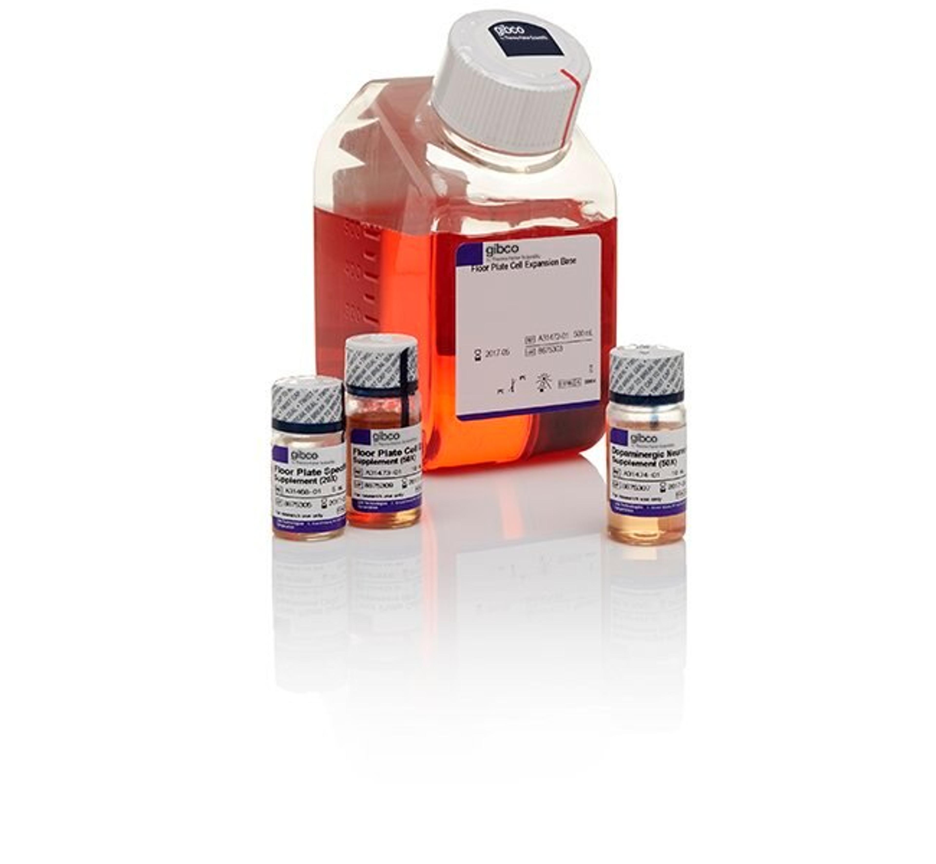 Gibco™ PSC Dopaminergic Neuron Differentiation Kit - Thermo Fisher Scientific