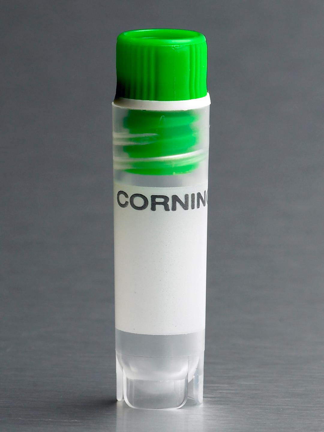 Corning® 2 mL Green Cap Internal Threaded Polypropylene Cryogenic Vial, Self-Standing with Round Bottom - Corning Life Sciences - Life Sciences