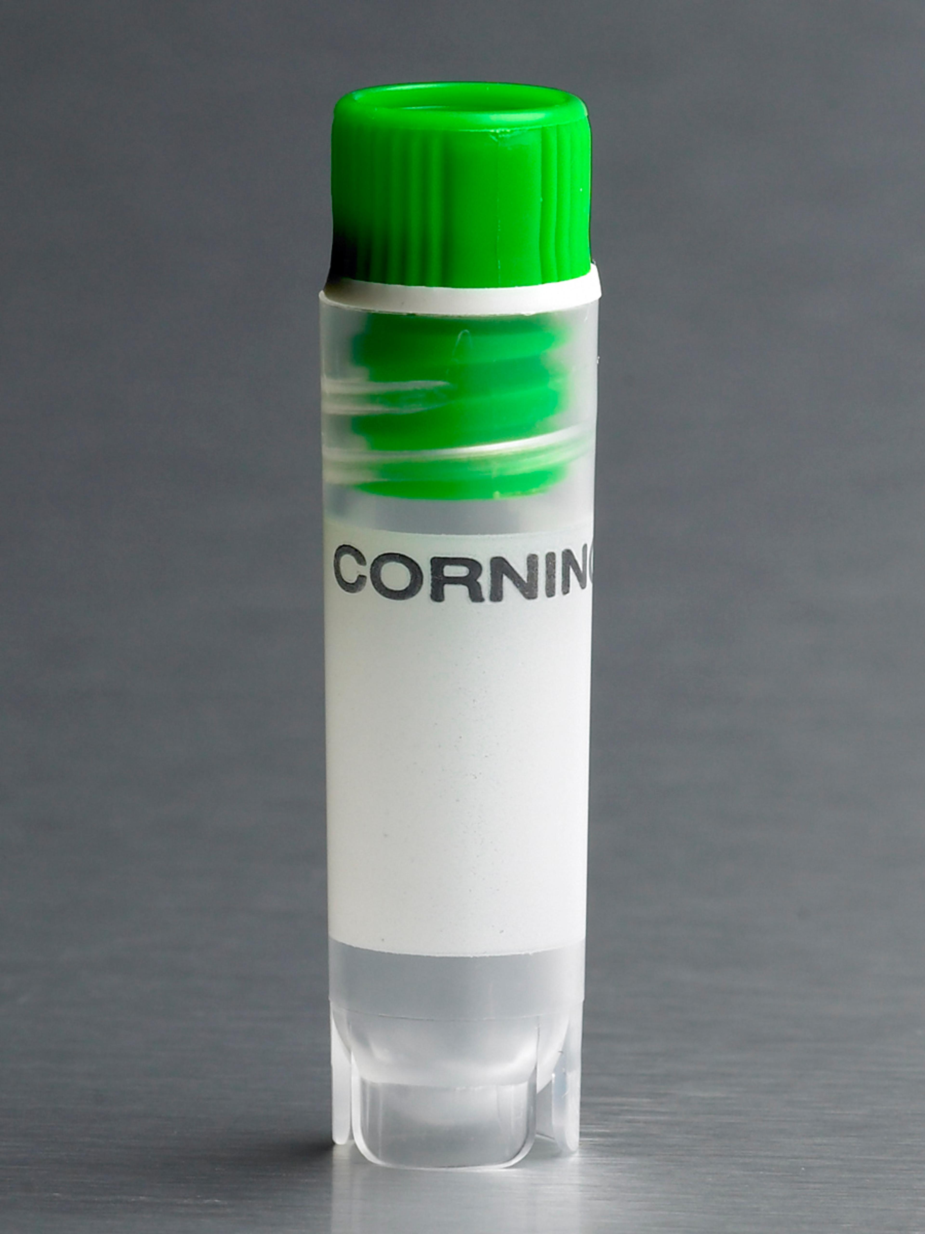 Corning® 2 mL Green Cap Internal Threaded Polypropylene Cryogenic Vial, Self-Standing with Round Bottom - Corning Life Sciences - Life Sciences