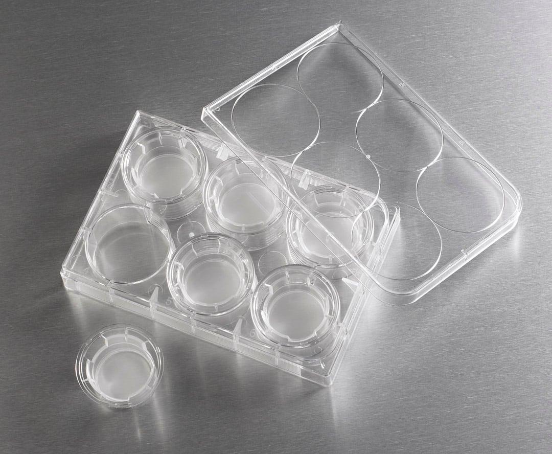 24 mm Transwell® with 0.4 µm Pore Polyester Membrane Insert, Sterile - Corning Life Sciences - Life Sciences