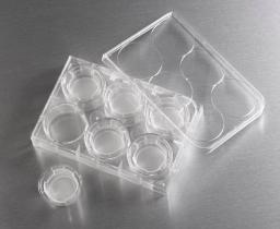 24 mm Transwell® with 0.4 µm Pore Polyester Membrane Insert, Sterile - Corning Life Sciences - Life Sciences