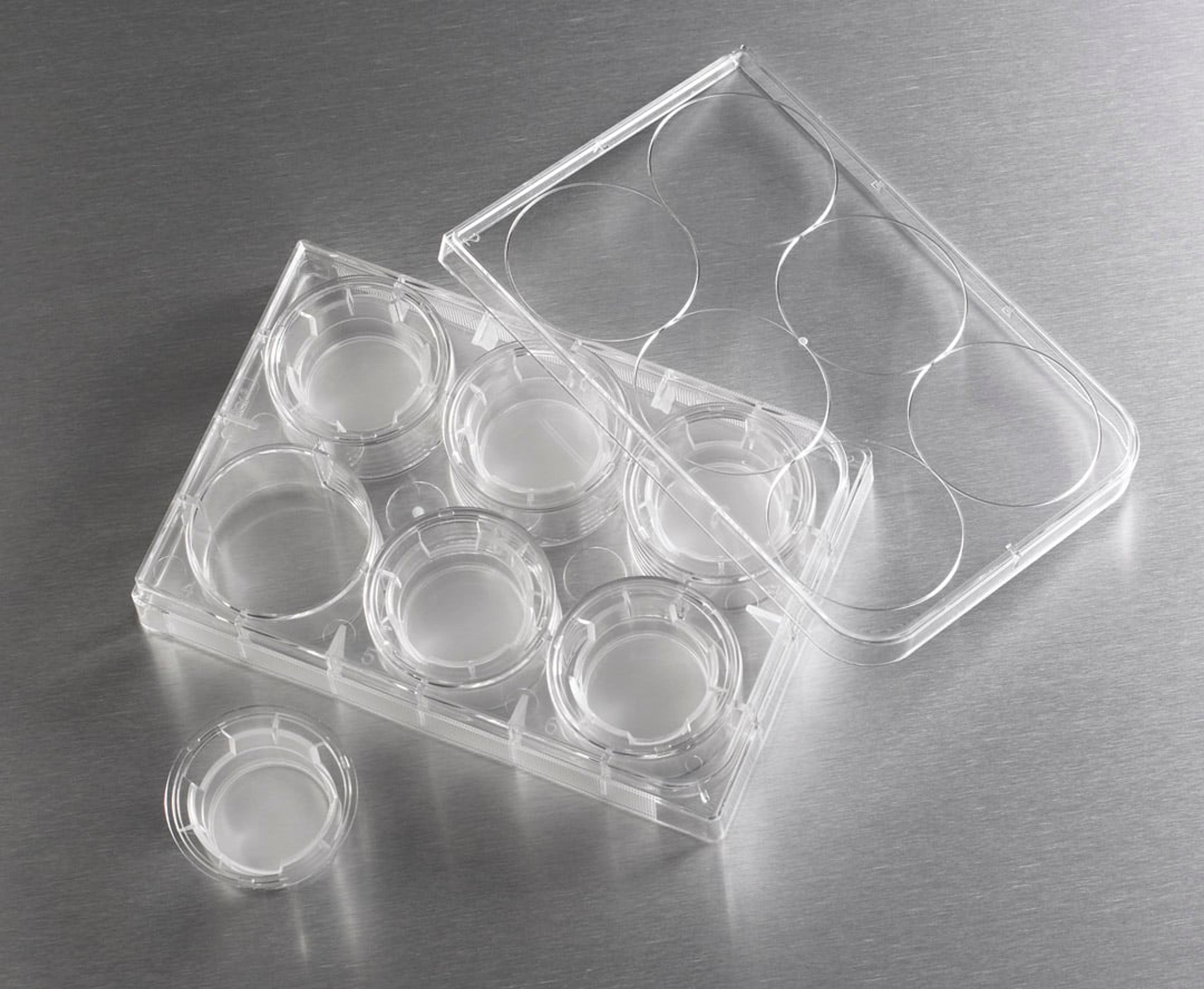 24 mm Transwell® with 0.4 µm Pore Polyester Membrane Insert, Sterile - Corning Life Sciences - Life Sciences