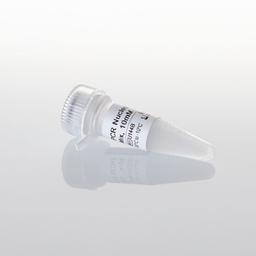 PCR Nucleotide Mix - Promega Corp. - Life Sciences