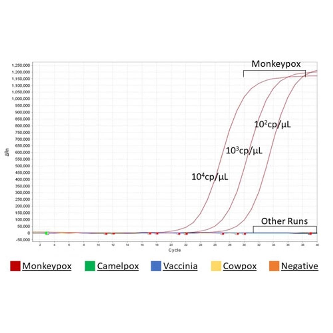 Monkeypox Virus (MPXV) PCR Nucleic Acid Detection Kit - RayBiotech Inc. - Clinical Diagnostics