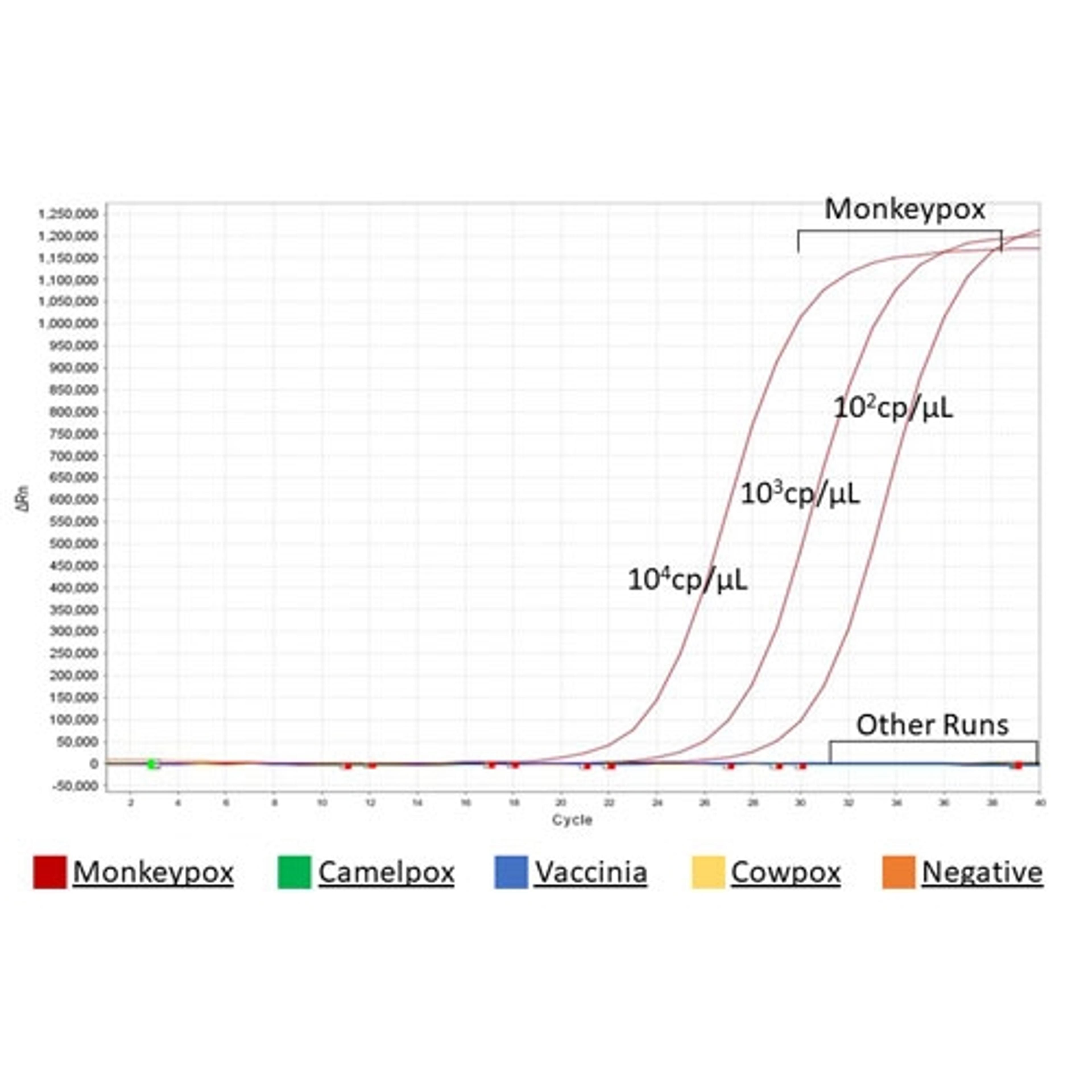 Monkeypox Virus (MPXV) PCR Nucleic Acid Detection Kit - RayBiotech Inc. - Clinical Diagnostics