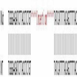 Human TIAL1 knockout HeLa cell line - Abcam plc - Life Sciences