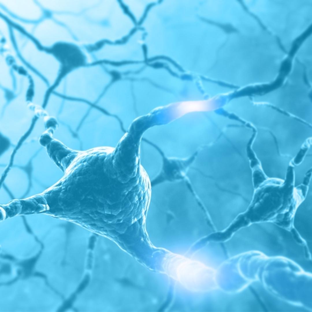 QPS Neuropharmacology Animal Models for Central Nervous System Diseases - QPS - Drug discovery > Pre-Clinical Development